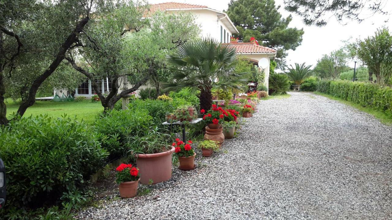 Ferienwohnung Campo Alle More Cecina  Exterior foto