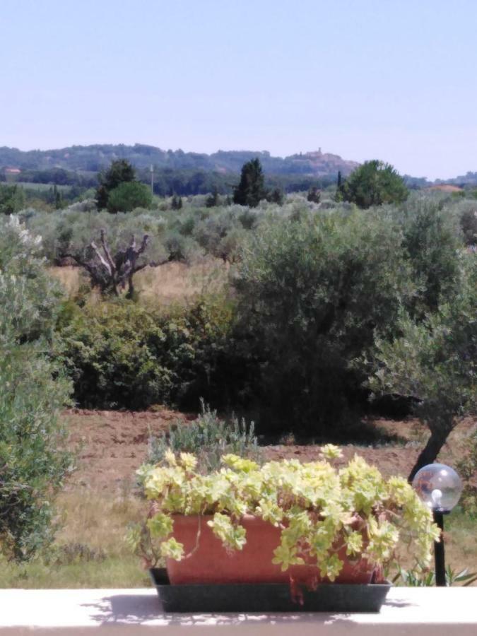 Ferienwohnung Campo Alle More Cecina  Exterior foto